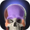 Anatomyka - Anatomía 3D icon