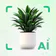 Identificador de plantas