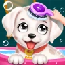 Labrador Alaga Salon icon