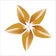 BAC A BANK Corporate Banking
