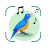 Bird Identifier: Chant Oiseaux icon
