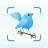Identification des oiseaux icon