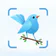 Identification des oiseaux