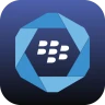 " BlackBerry Hub+サービス" icon