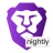 Brave Nightly icon