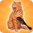 Cat Brush Challenge icon