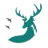 CapturCyL icon
