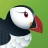 Trình duyệt web Puffin icon