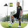 Coerver Soccer Skills