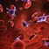 Platelet Counter