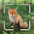 Mischwald™ Smart Counter icon