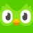Duolingo: Học ngoại ngữ icon