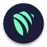 ArgoVPN icon