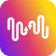 FreeYourMusic icon