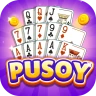 Pusoy  Offline icon