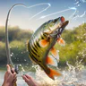 My Fishing Tour: Hook and Jerk icon