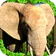 Elephant Simulator