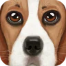 Ultimate Dog Simulator icon