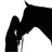 Chevaux - Quiz icon