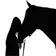 Chevaux - Quiz