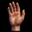 Anatomy at Risk icon