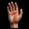 Anatomy at Risk icon