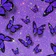 Purple Wallpapers: Backgrounds
