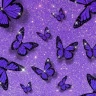 Purple Wallpapers: Backgrounds icon