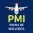 Mallorca Airport PMI icon