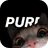 purp - Nouveaux amis icon