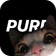 purp - Nouveaux amis