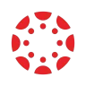 Canvas icon