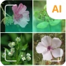 Nhận diện cây trồng icon