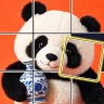 JigsawArt Puzzle Gallery icon