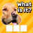 Zoom Quiz: Close Up Pics Game icon
