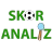 Score Analyze icon