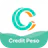 Credit Peso icon