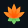 Lotus Chess – Aperturas