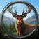 Hunting Battle: Hunter Game
