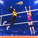Hari ng Volleyball