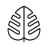Monstera - Guide de plantes icon