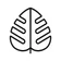 Monstera - Guide de plantes