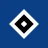 Hamburger SV icon