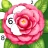Color Aura: Paint by number icon