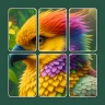 ジグソーソリティア：スライドパズル icon