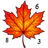 Golden Autumn: Color by Number icon