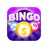 Bingo Cash icon