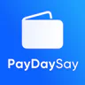 Cash Advance Now - PayDaySay icon