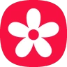 Galería icon