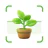 Plantas Identificador cuidado icon
